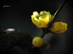 球盟会官网-暗香浮动小说笔趣阁